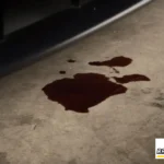 cairan berbahaya untuk mobil