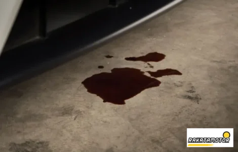 cairan berbahaya untuk mobil