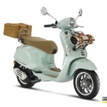 Aksesori Vespa Picnic Primavera
